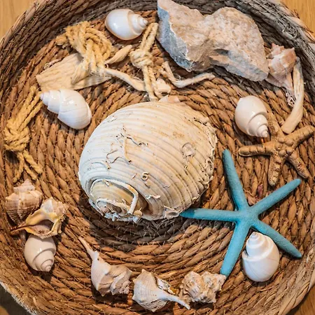 Costal Charm غوليم