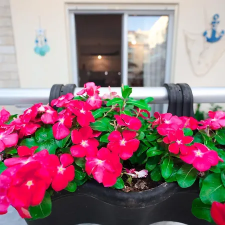Apartmán Costal Charm